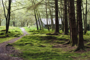 Rowchoish bothy