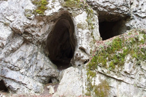 jeskyňky v Pustém žlebu
