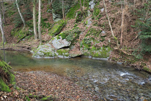krásný potok Šumice zachraňuje dojem z údolí