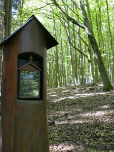 kaplička "Hubertka" v zapomenutém koutu lesa