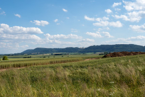 Výhled na strmé svahy opukových skal Svitavské pahorkatiny.