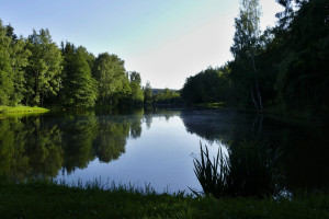 Rybník Korečník, Třešť.